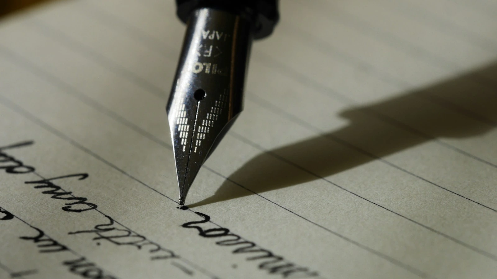 Script & Story Dev